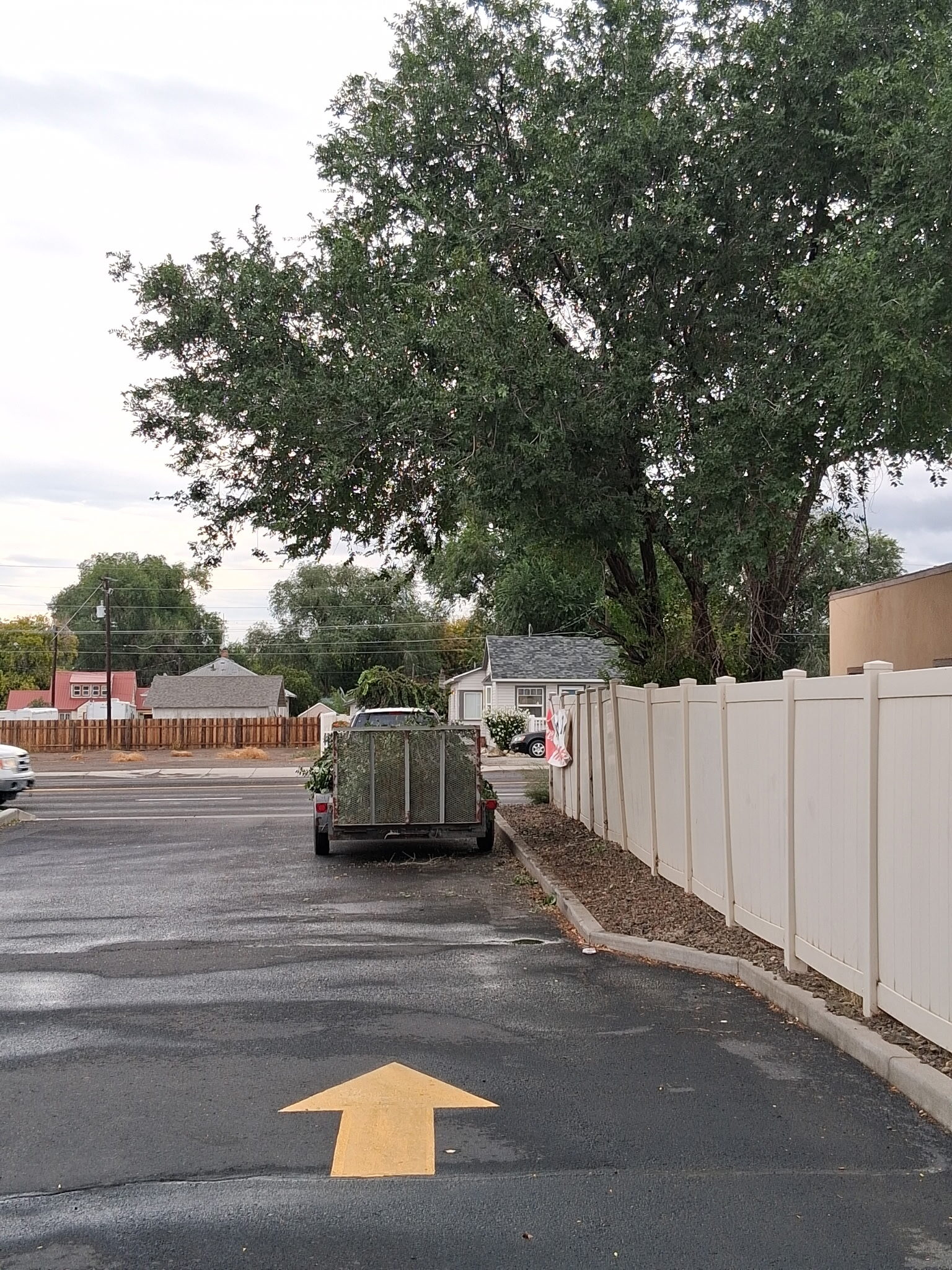 Branch hauling after tree trim job
