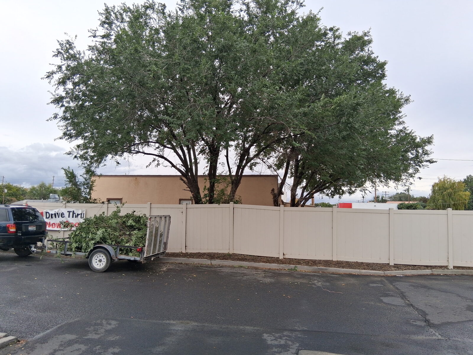 Branch hauling after tree trim job