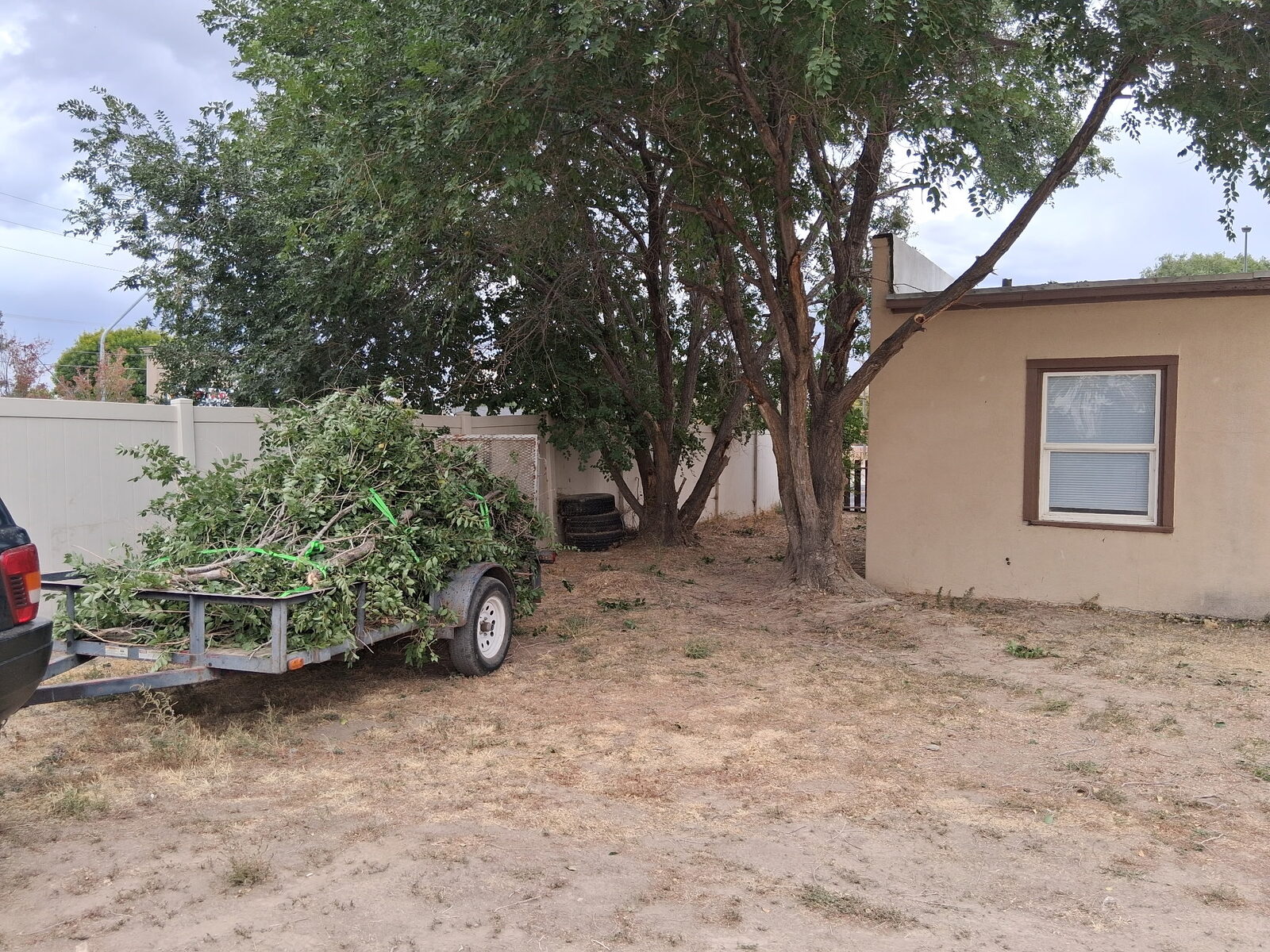Tree trimming completed after job