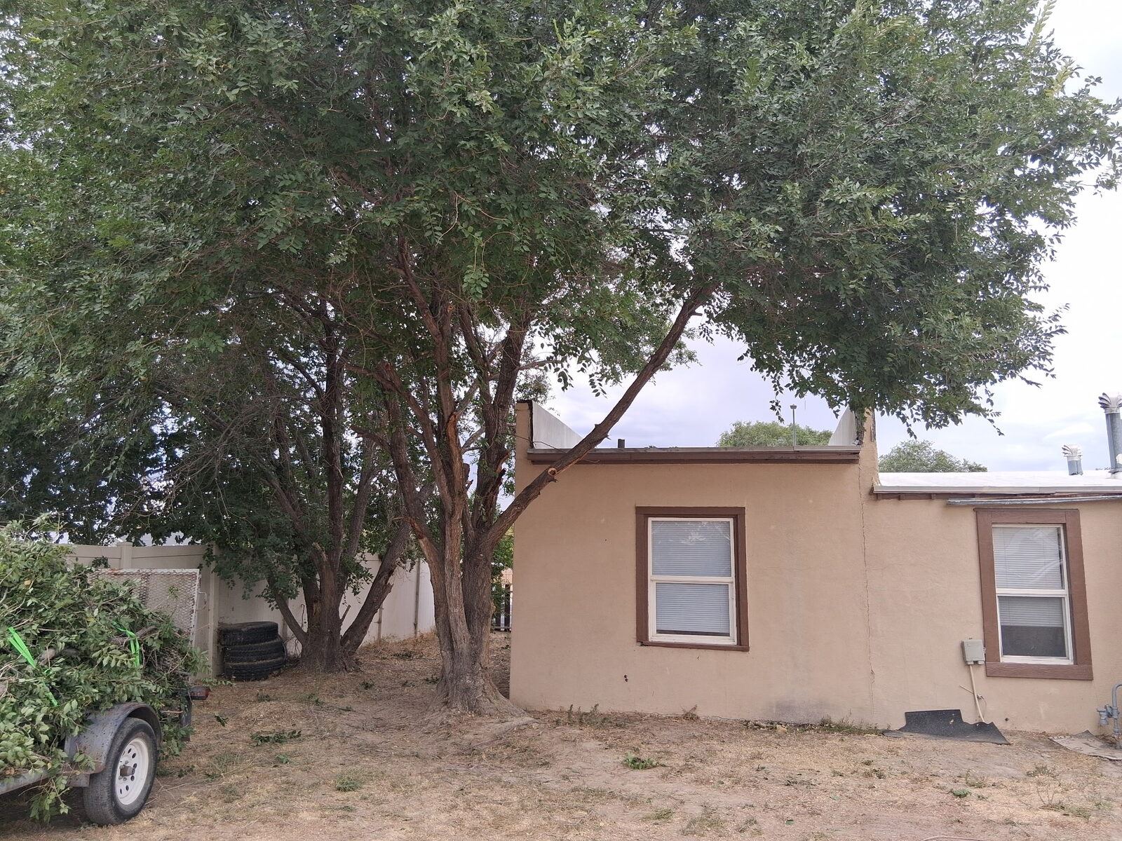 Roofline cleared after trimming