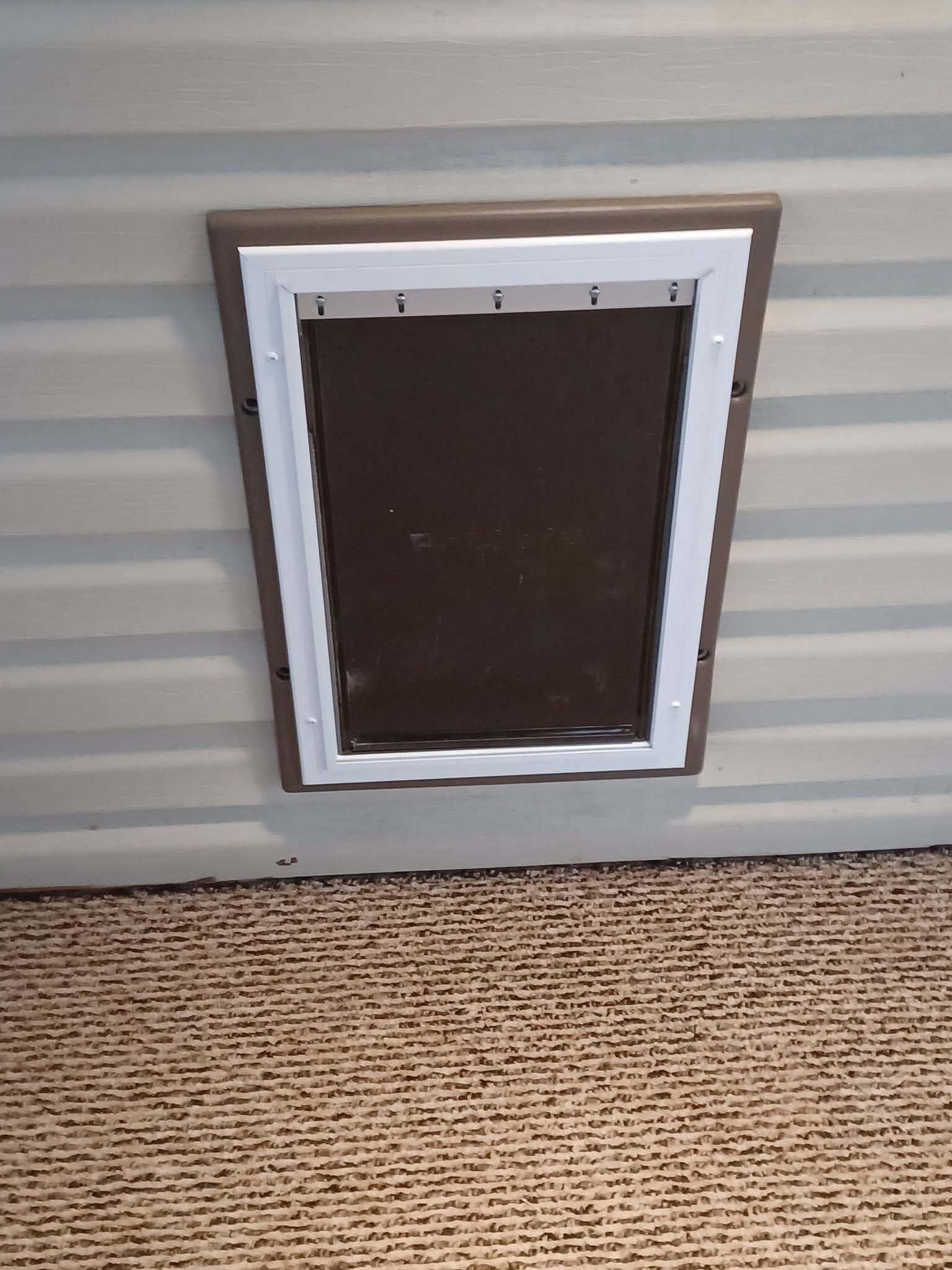 Pet door vinyl siding exterior